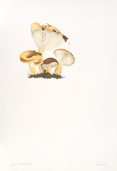 Mushroom Book Page 3 – John Cage