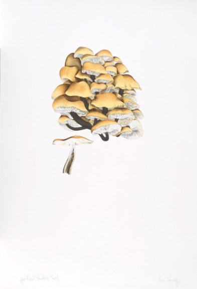 Mushroom Book Page 4 – John Cage
