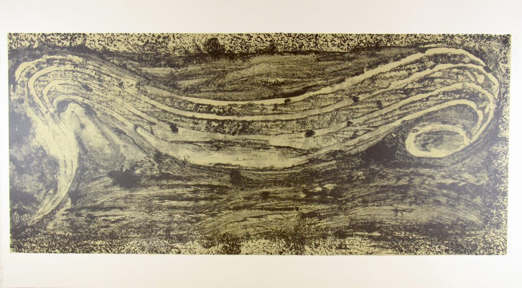 Fin - 101x60cm – John Firth-Smith