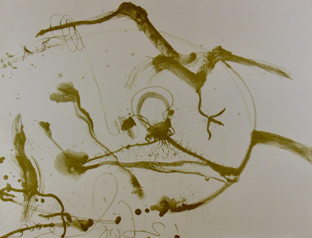 Octopus (Brown) – John Olsen