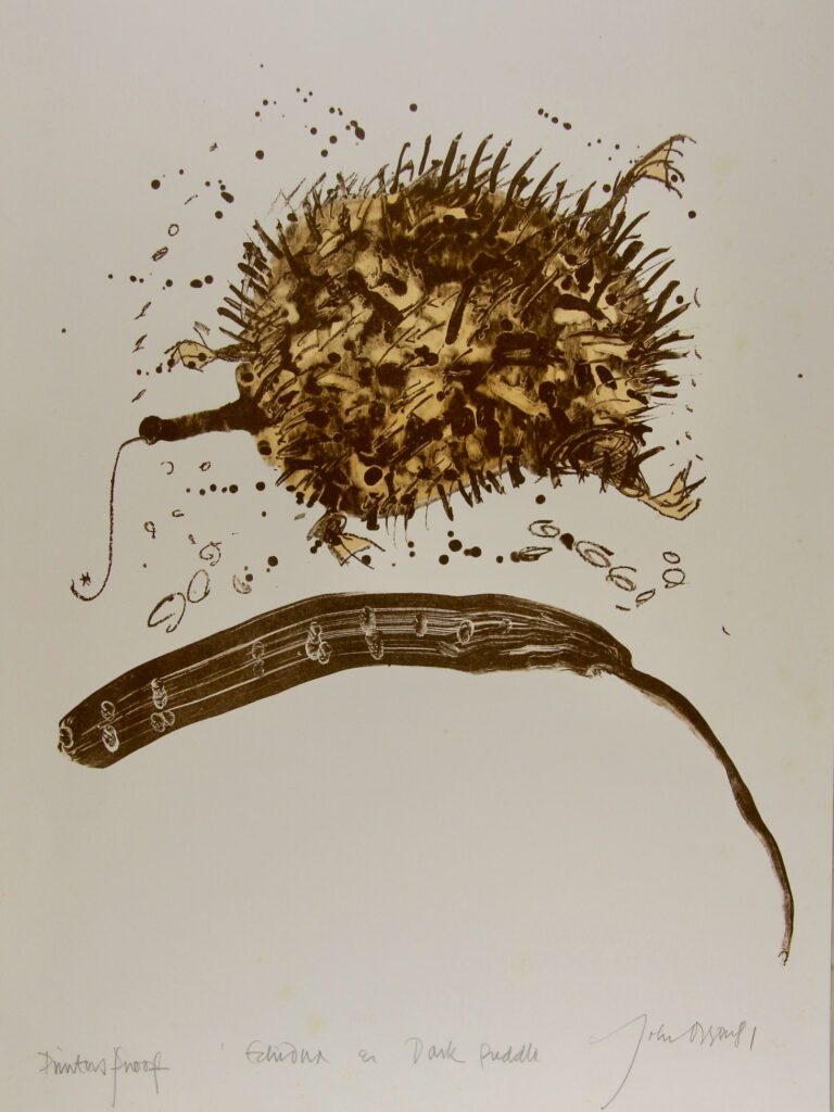 Echidna and Dark Puddle - 1981 71x50cm – John Olsen