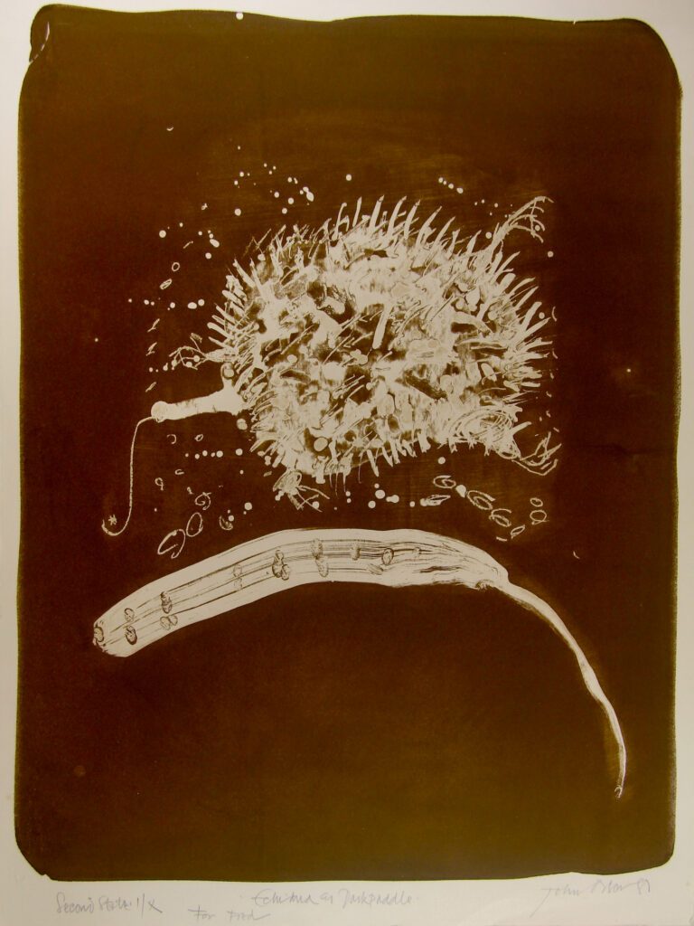 Echidna and Dark Puddle 2 Negative/Reverse - 1981 76x56cm – John Olsen
