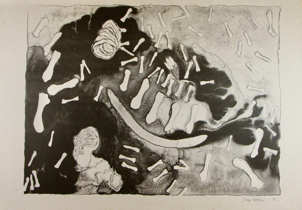 Black and White – Judy Watson
