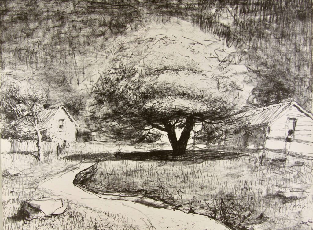 Caloola Tree (no rock, not part of set) - 65x50cm – Lloyd Rees