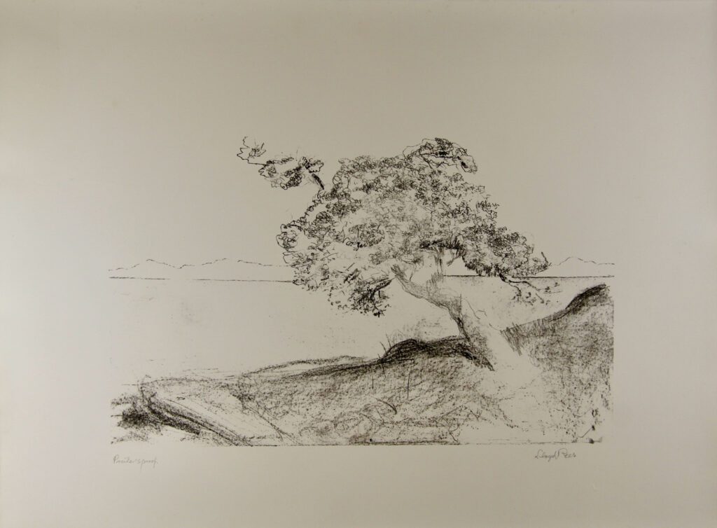 Small Tree (not listed in books) – Lloyd Rees