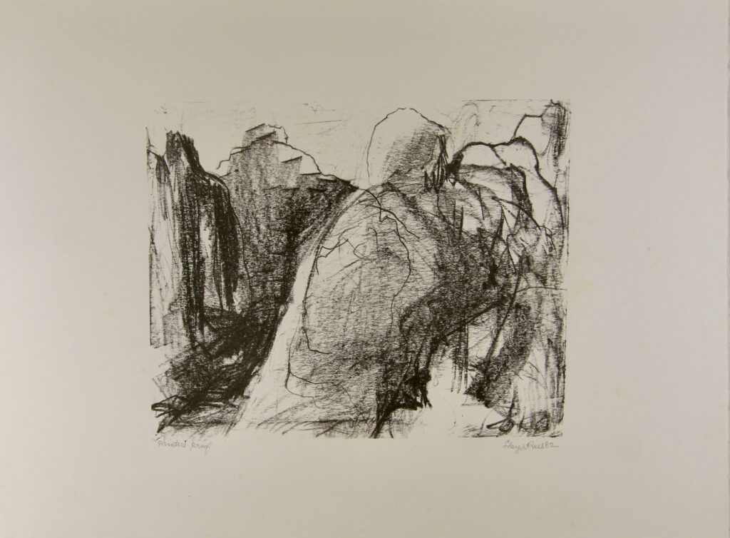 The Gorge I - 50x66cm – Lloyd Rees