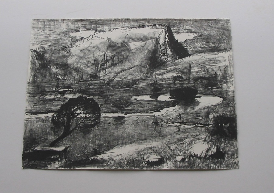 Illawarra Landscape