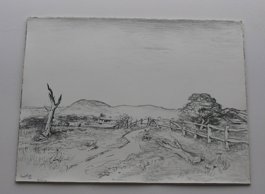 O Connell Landscape