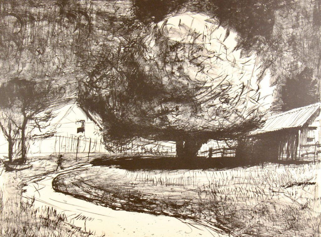 Tree at Caloola (No rock) – The Caloola Suite 3 51x66cm – Lloyd Rees