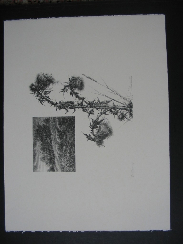 M. Van De Veer. Thistle