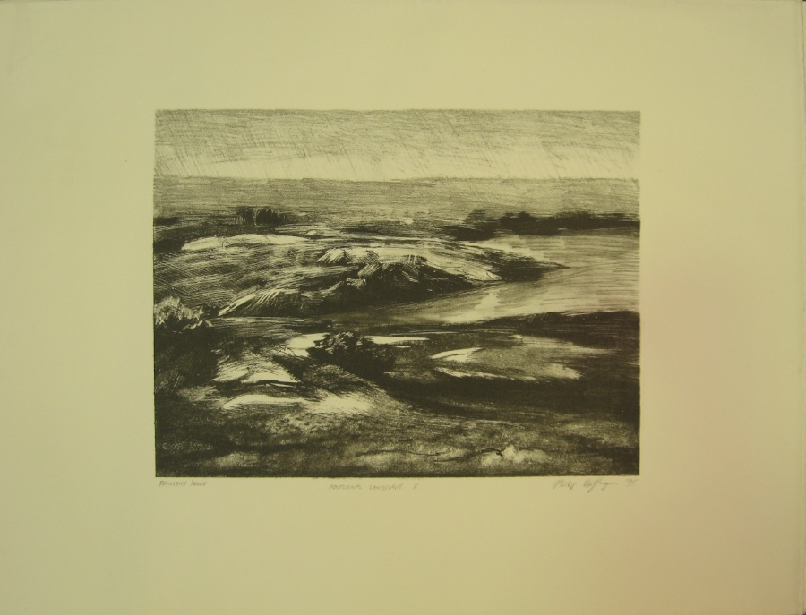 Nocturnal Landscape 1