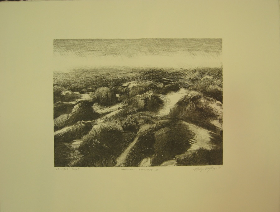 Nocturnal Landscape 2
