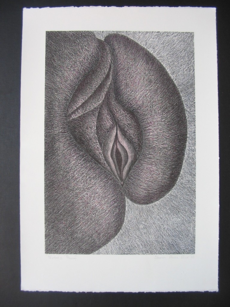 Sharon Muir. Series 6. 66x46cm. 2003.