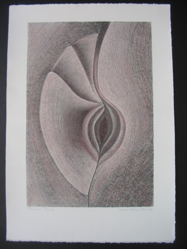 Sharon Muir. Series 6. 66x46cm. 2003