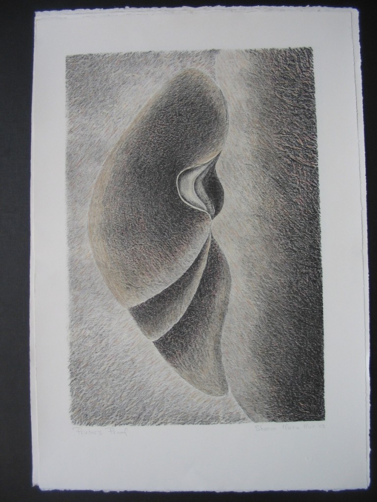 Sharon Muir. Series 6. 66x46cm. 2003