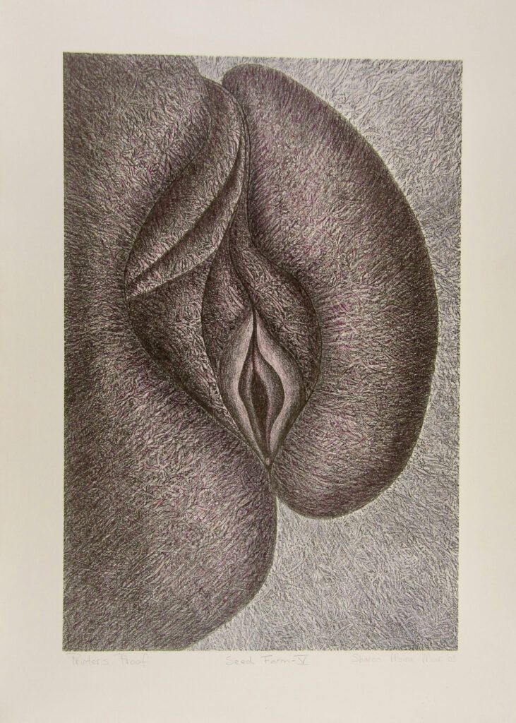 Seed Form 5 – Sharon Muir