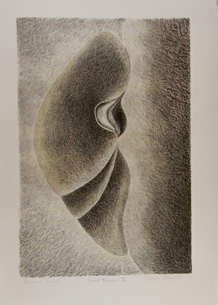 Seed Form 2 – Sharon Muir
