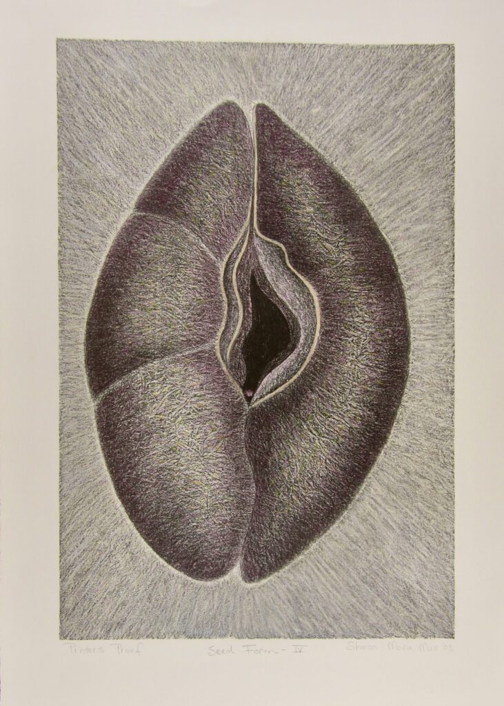 Seed Form 4 – Sharon Muir