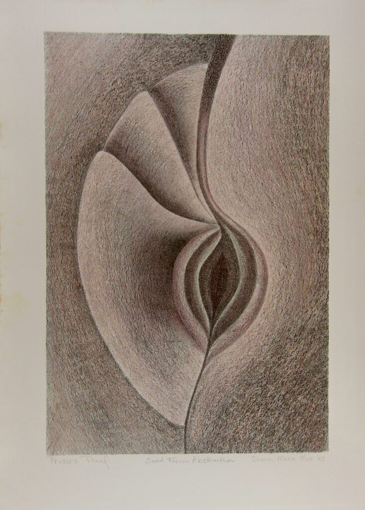 Seed Form Abstraction 2003 – Sharon Muir