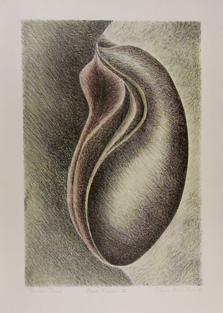 Seed Form 1 – Sharon Muir