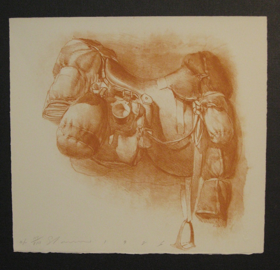 Saddle Bivvie Orange