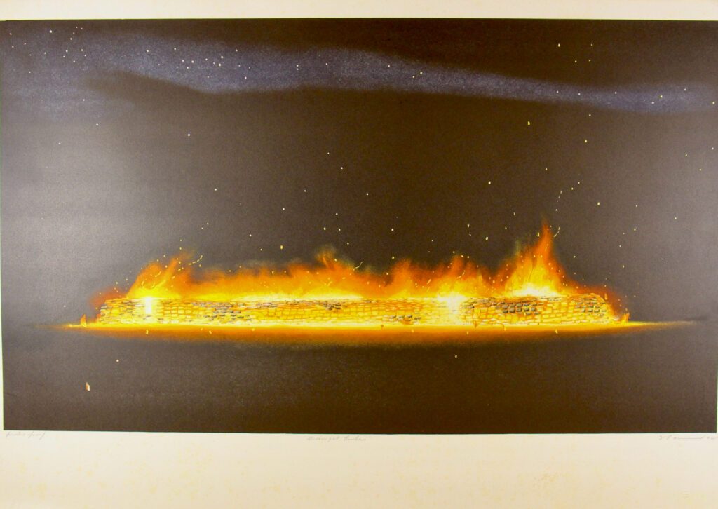 Midnight Embers - 71x110cm – Tim Storrier