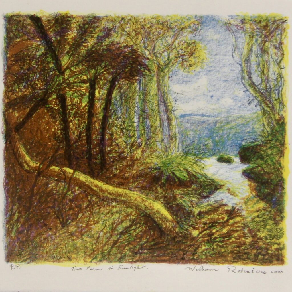 The Ferns in Sunlight - 2000 28x29cm – William Robinson