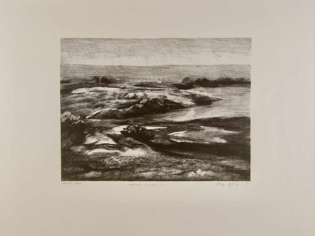 Nocturnal Landscape I - 50x66cm – Philip Wolfhagan